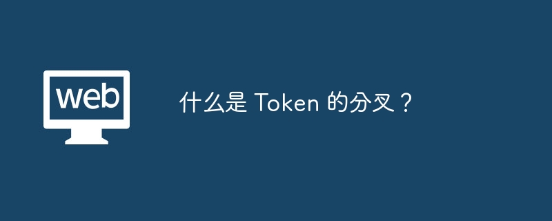 什么是 Token 的分叉?